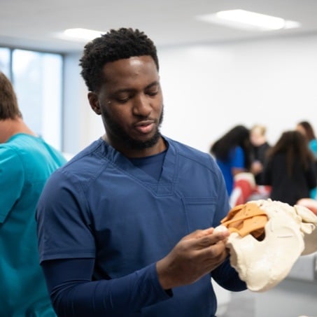 Physician Assistant