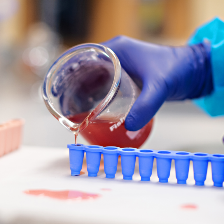 South College PharmD celebrates two-year anniversary of hybrid pathway by hosting compounding lab and demonstration